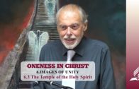 6.3 The Temple of the Holy Spirit – IMAGES OF UNITY | Pastor Kurt Piesslinger, M.A.